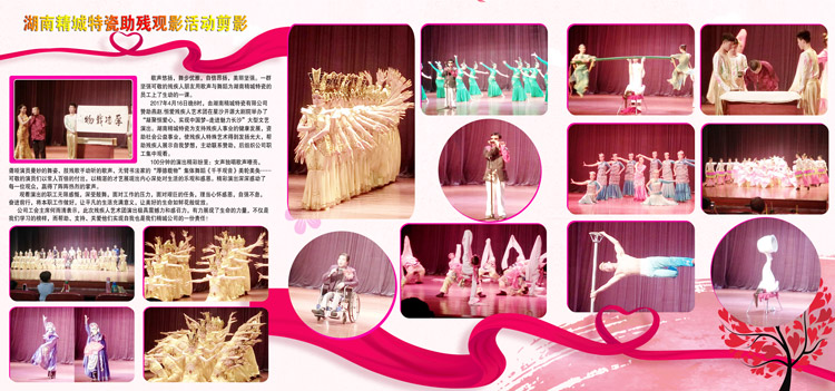 湖南pg电子模拟器赞助燕赵·恒爱残疾人艺术团圆满演出